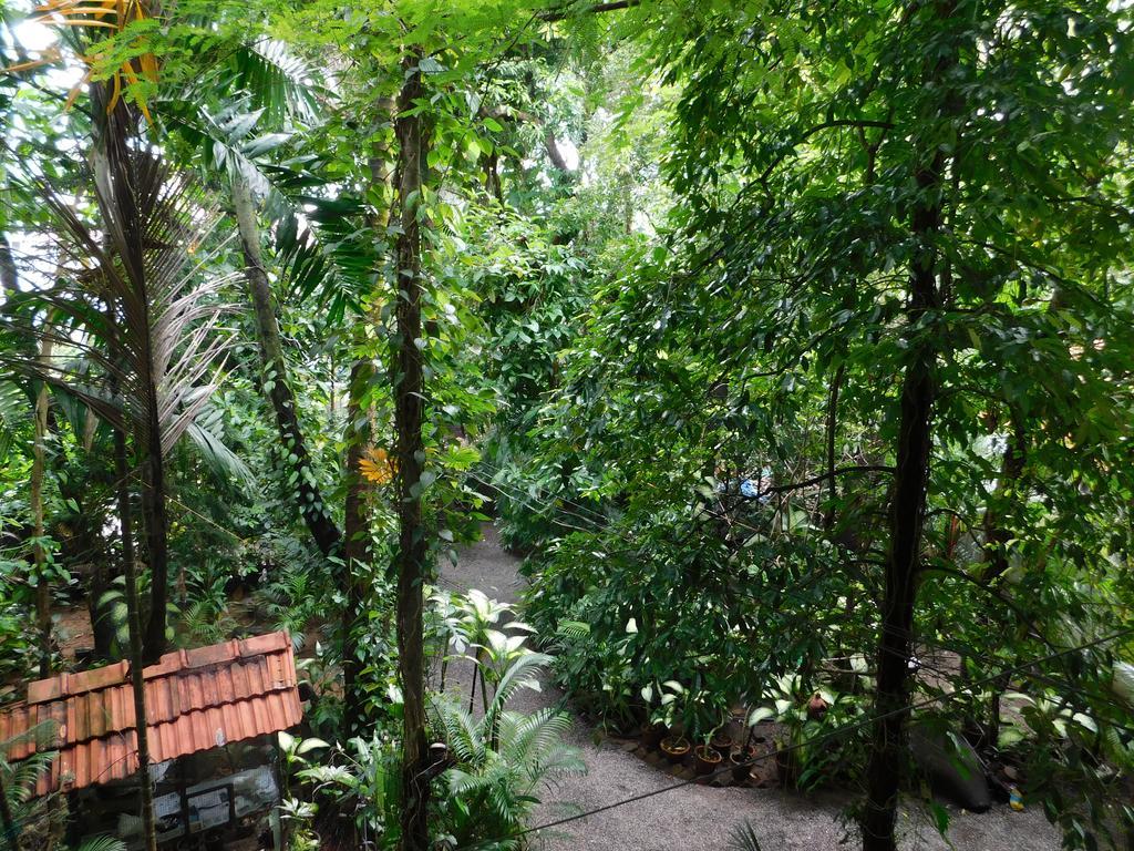Green Woods Bethlehem Kochi Екстериор снимка