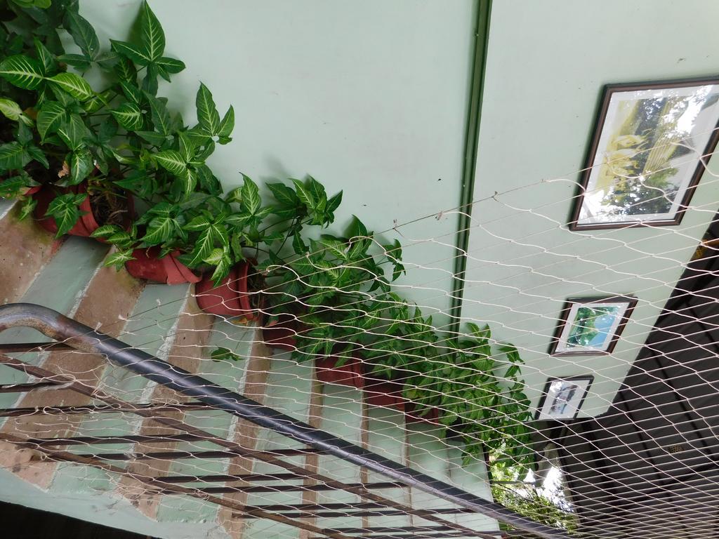 Green Woods Bethlehem Kochi Екстериор снимка